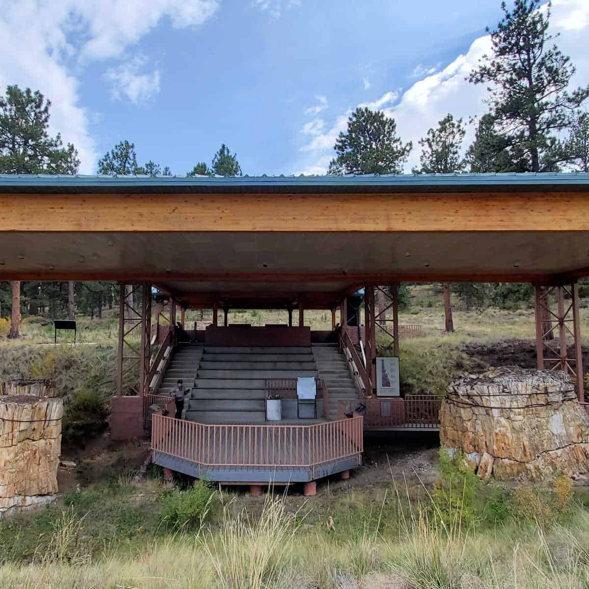 Petrified Forest stumps at Florissant Fossil Beds National Monument