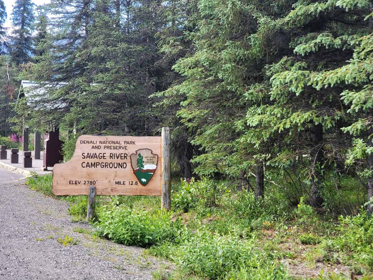 Savage River Campground Denali National Park Alaska
