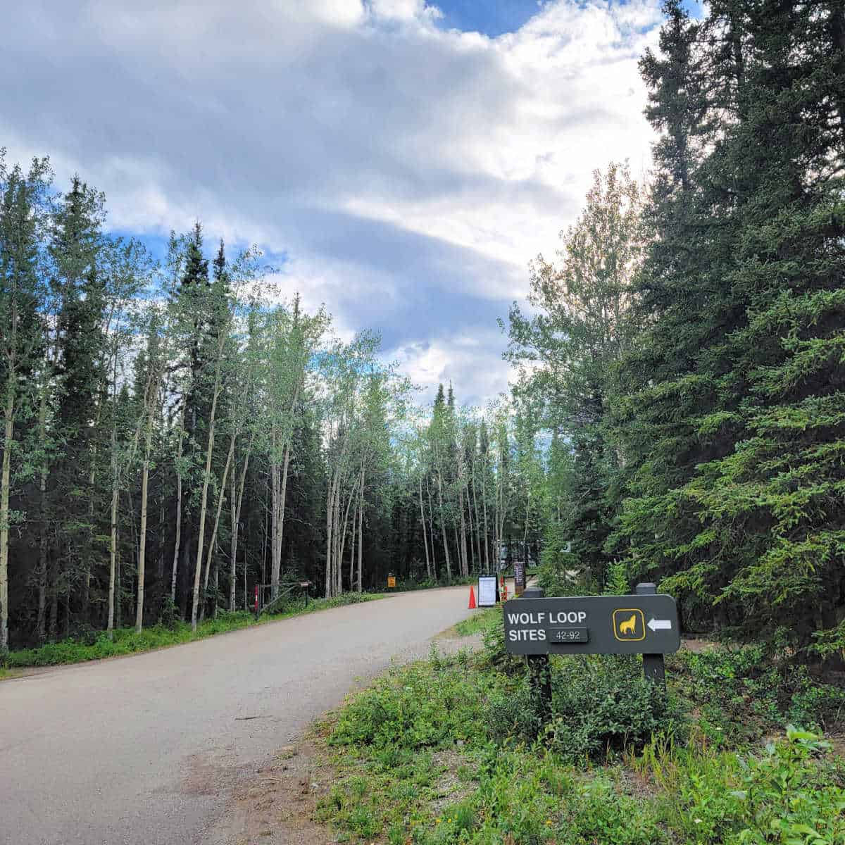 Wolf Loop Sites Riley Creek Campground Denali National Park Alaska