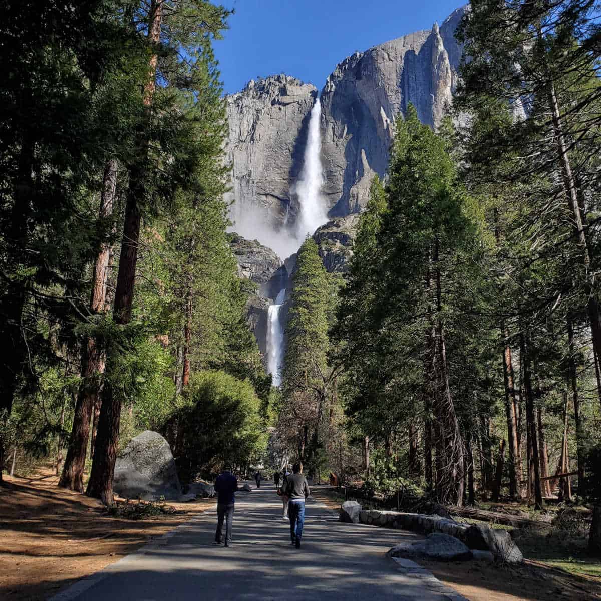 Walking the path to Lower Yosemite Falls with the falls strait in front of you