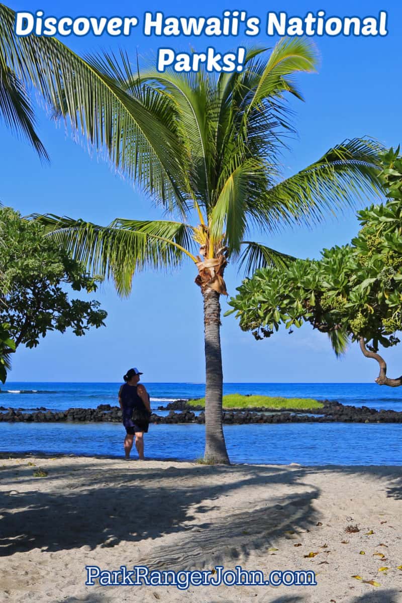 Discover Hawaii's National Parks including its beaches and palm trees in the photo from Kaloko Honokehau National Historic Park