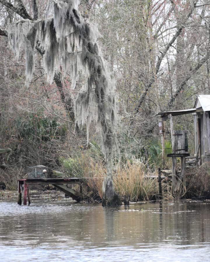 Discover Louisiana's National Parks like the Swamp Tour at Jean Lafitte National Historical Park and Preserve