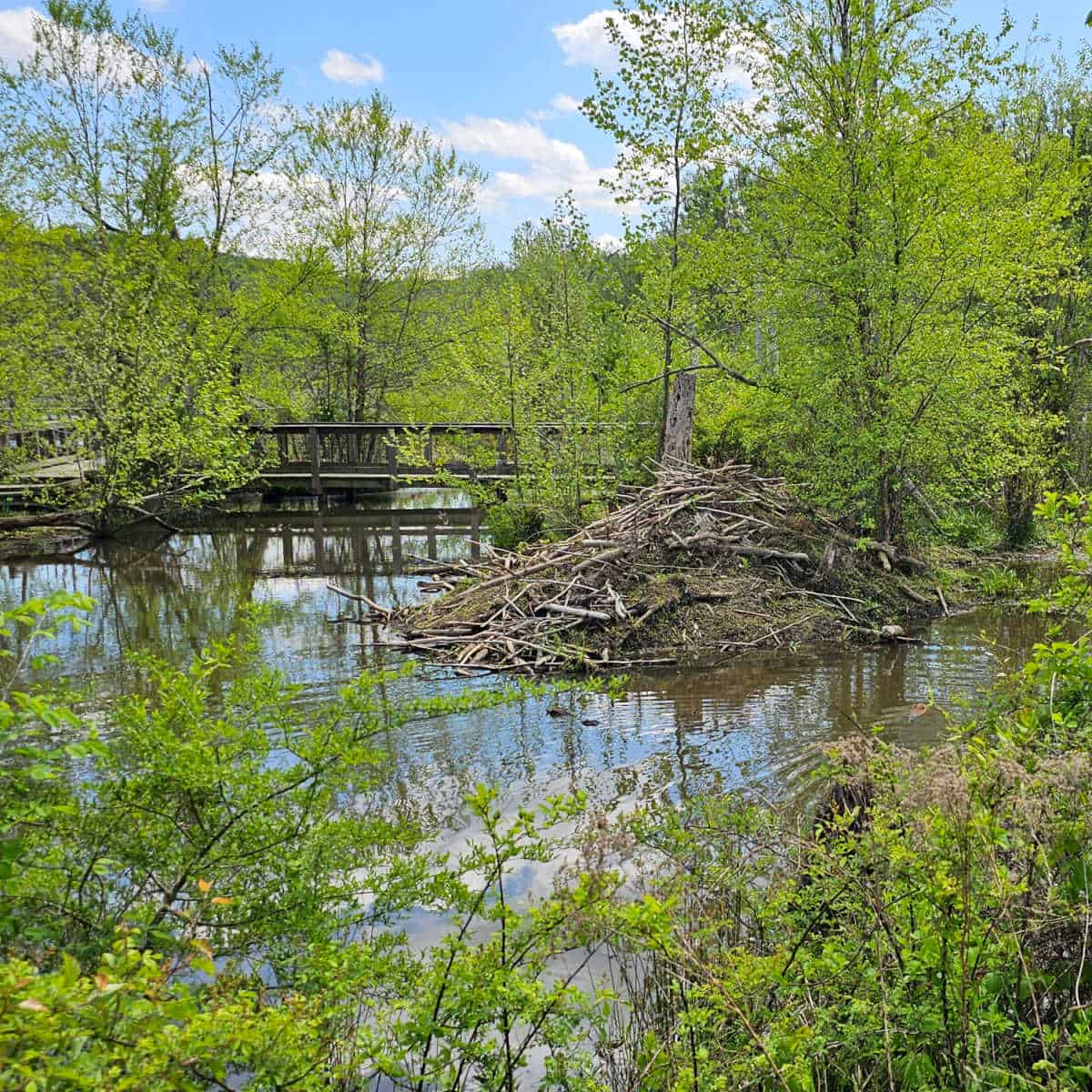 Piscataway Park in Maryland