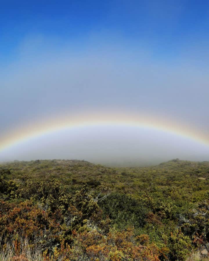 Rainbow at Haleakala National Park after a morning rain