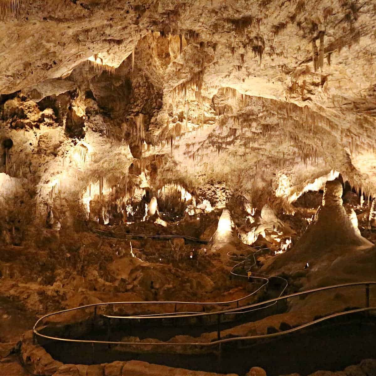 Walking trail inside Carlsbad Caverns in New Mexico