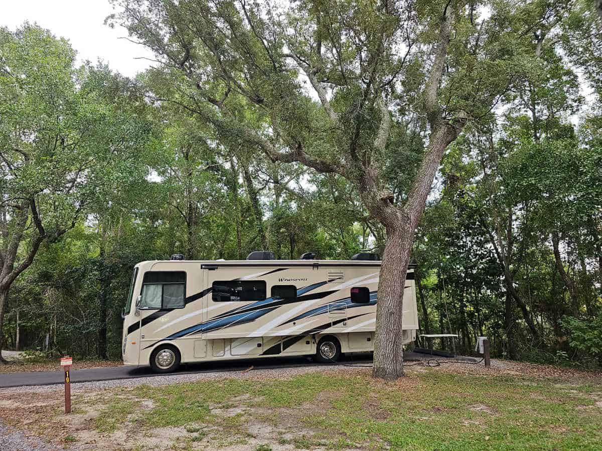 Campsite 19 Davis Bayou Campground Gulf Islands National Seashore Mississippi