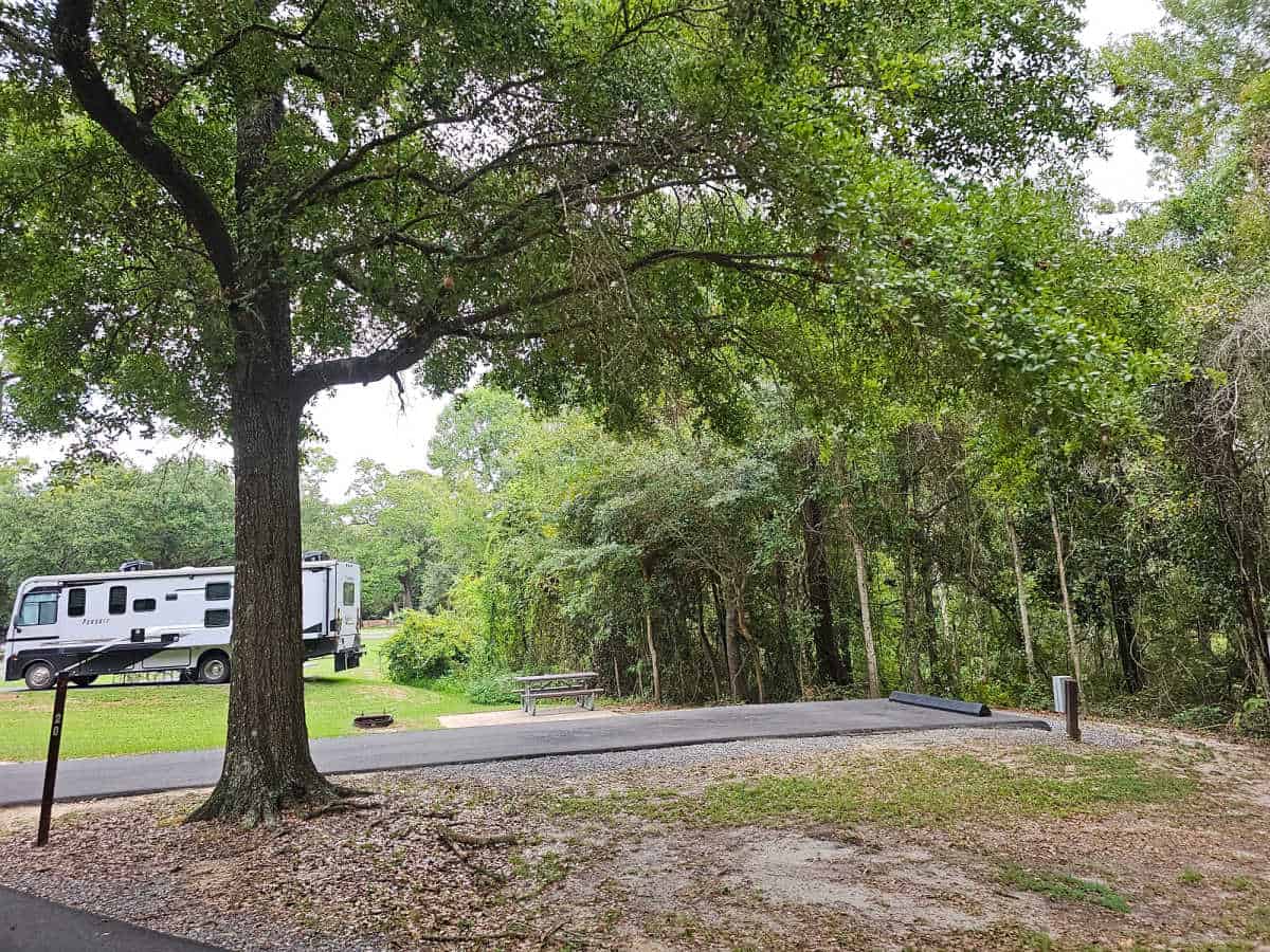 Campsite 20 Davis Bayou Campground Gulf Islands National Seashore Mississippi