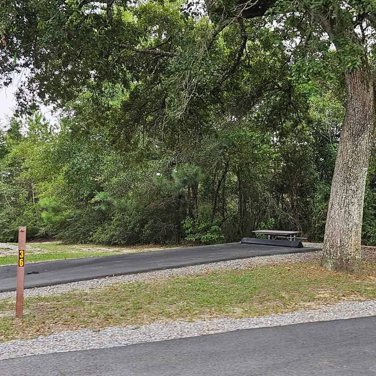 Campsite 36 Davis Bayou Campground Gulf Islands National Seashore Mississippi