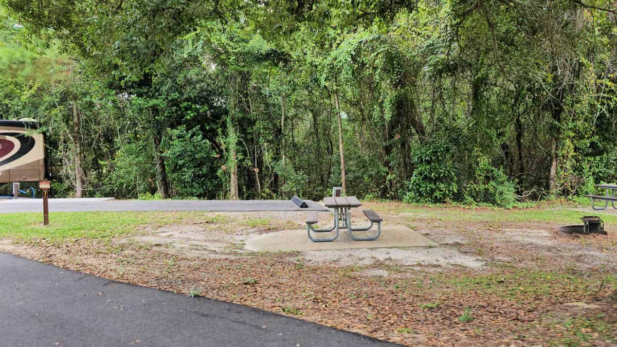 Campsite 7 Davis Bayou Campground Gulf Islands National Seashore Mississippi