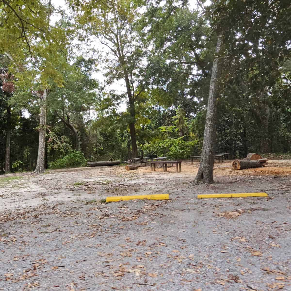 Group Camp at Davis Bayou Campground Gulf Islands National Seashore Mississippi