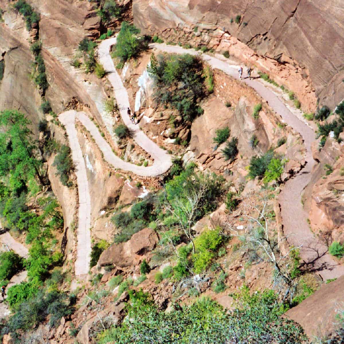 hiking down Walters Wiggles on the Angels Landing Trail in Zion National Park