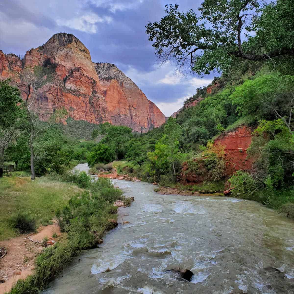 The Virgin River flowing through Zion National Park