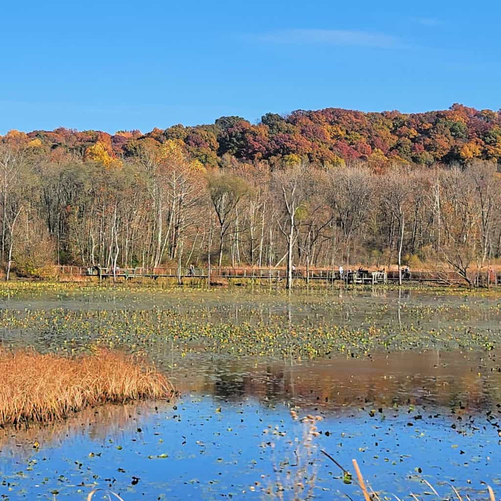 Beaver Marsh Trail Cuyahoga Valley National Park
