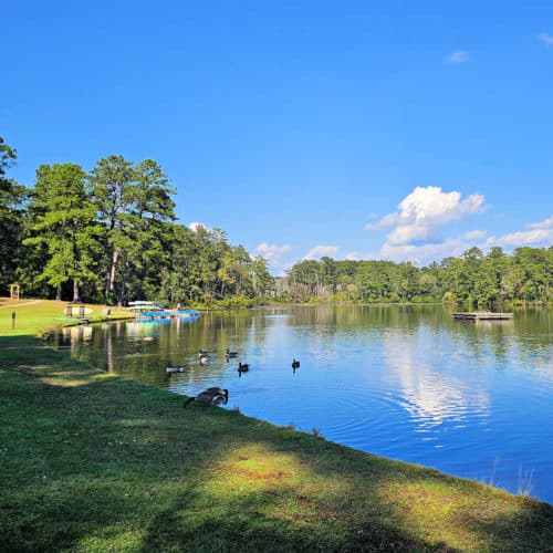 View of lake at Sesquicentennial State Park