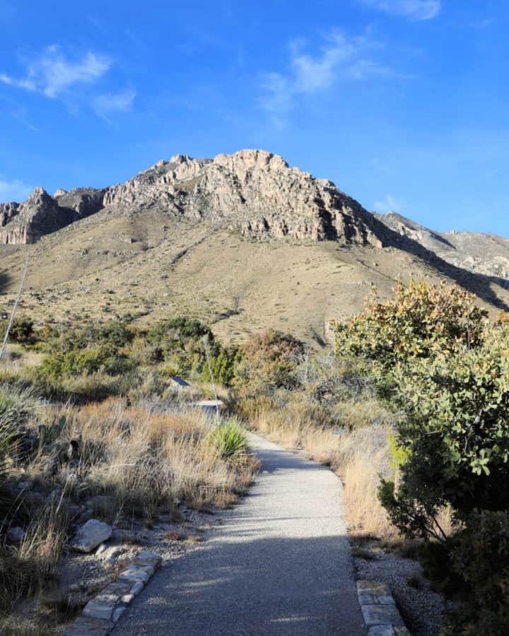 Guadalupe Mountains National Park Texas USA