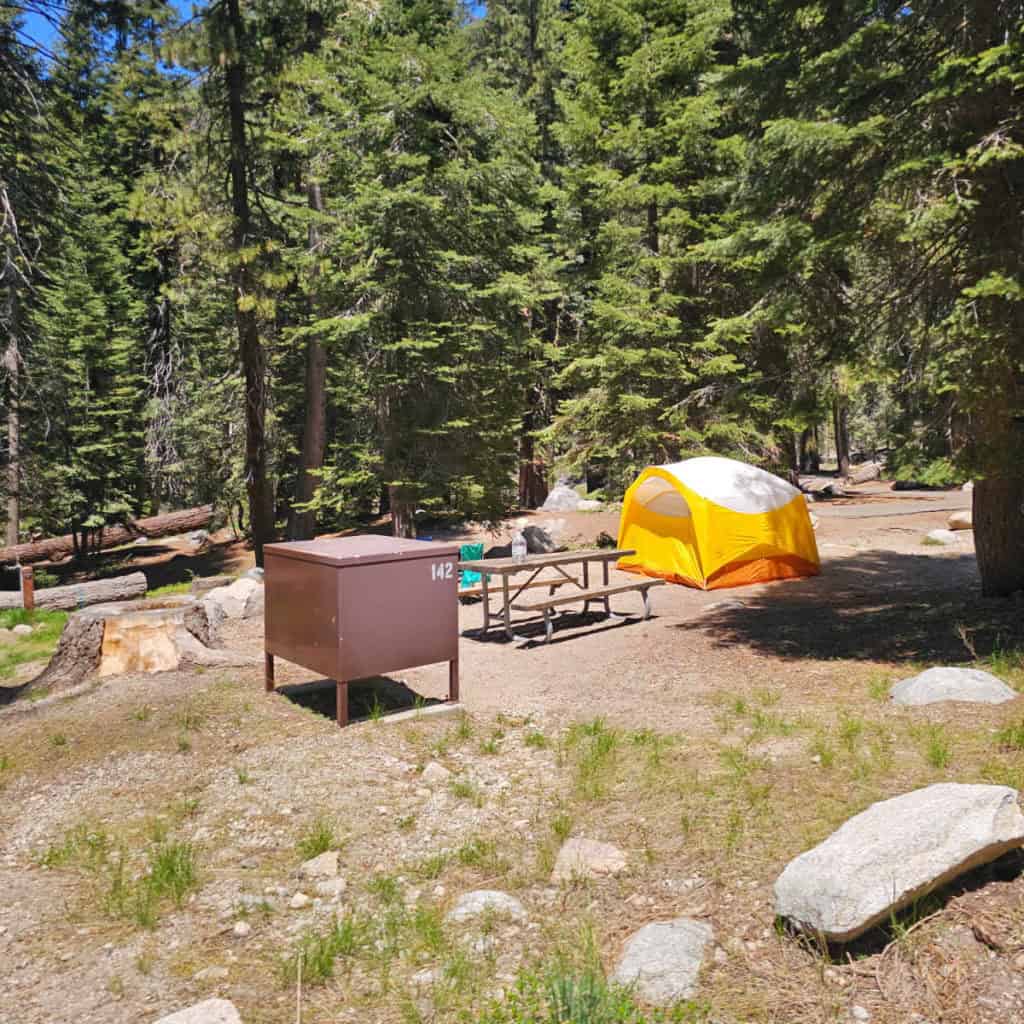 Lodgepole Campground Sequoia National Park