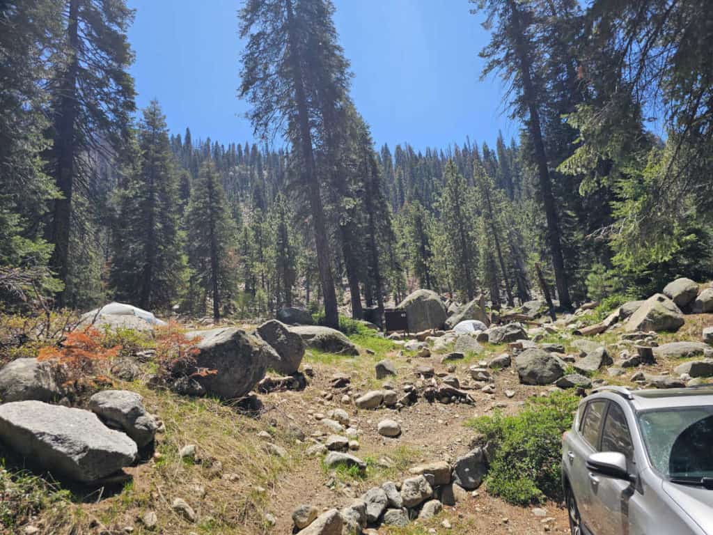 Campsite 102 Lodgepole Campground Sequoia National Park