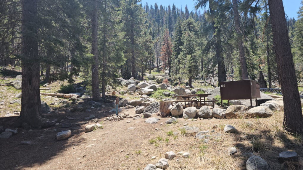 Campsite 106 Lodgepole Campground Sequoia National Park