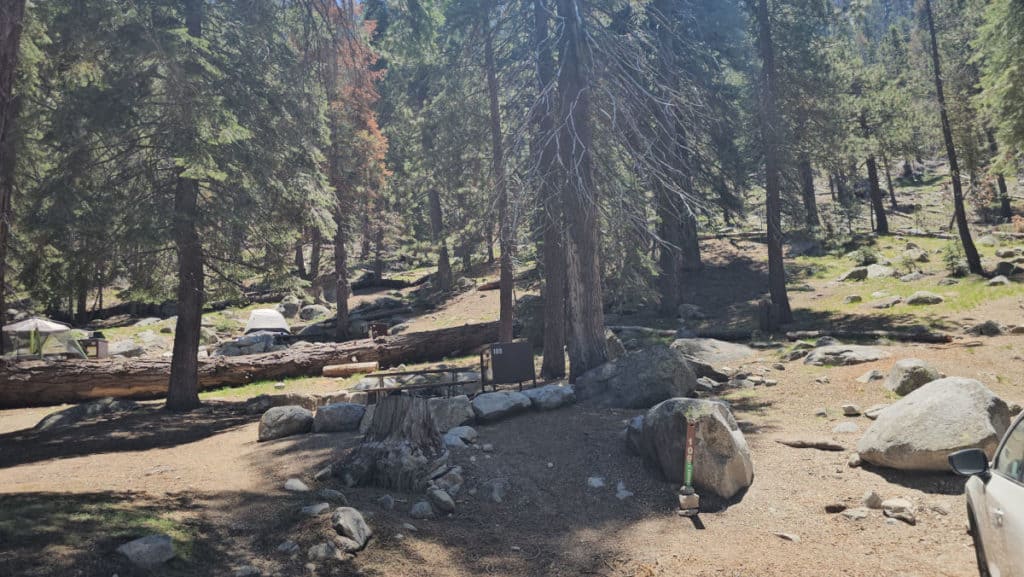 Campsite 109 Lodgepole Campground Sequoia National Park