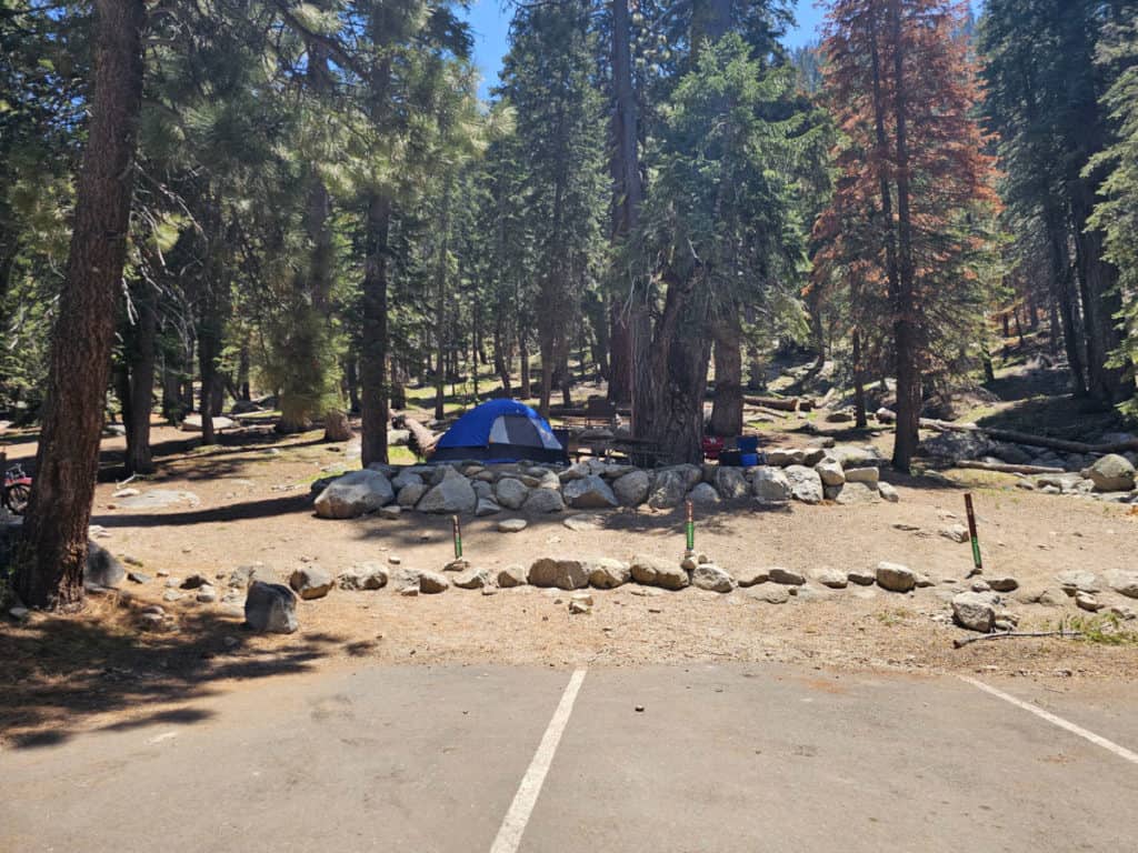 Campsite 115 Lodgepole Campground Sequoia National Park