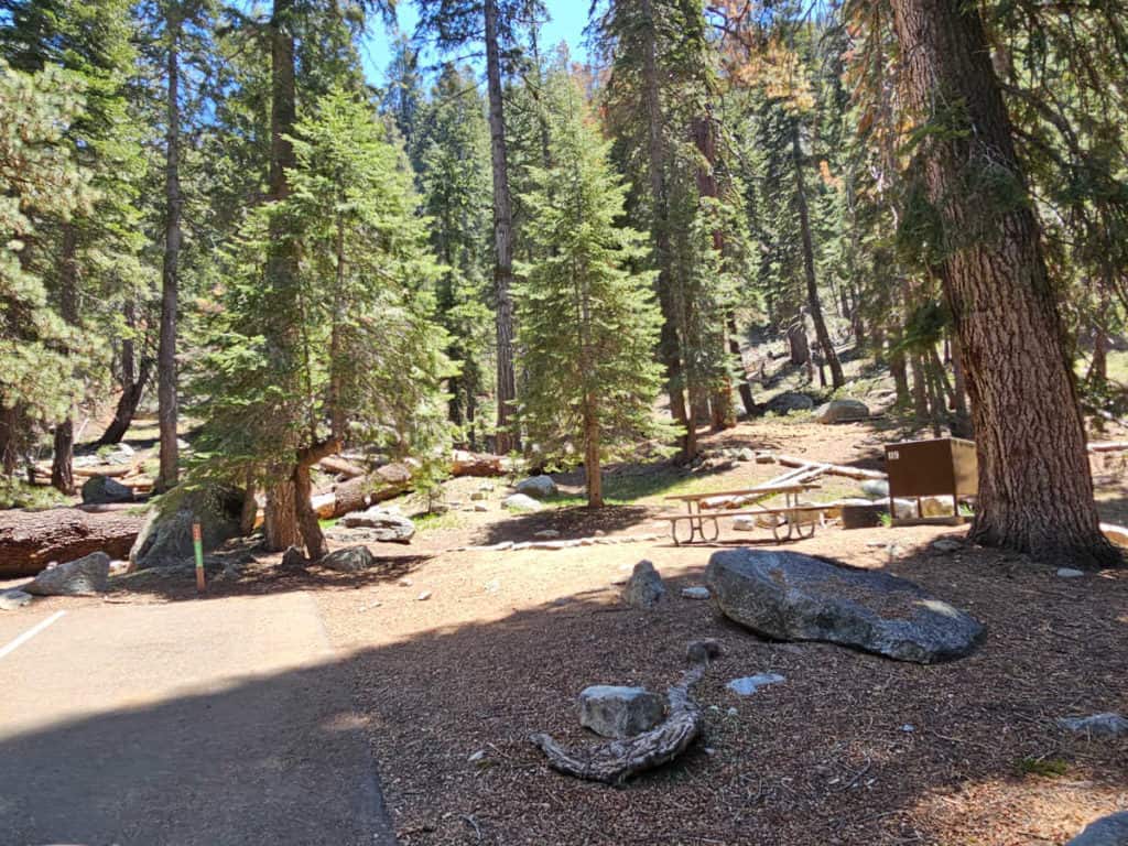 Campsite 119 Lodgepole Campground Sequoia National Park