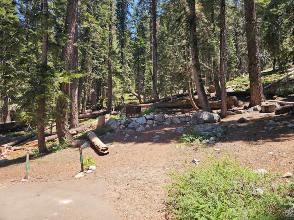 Campsite 122 Lodgepole Campground Sequoia National Park