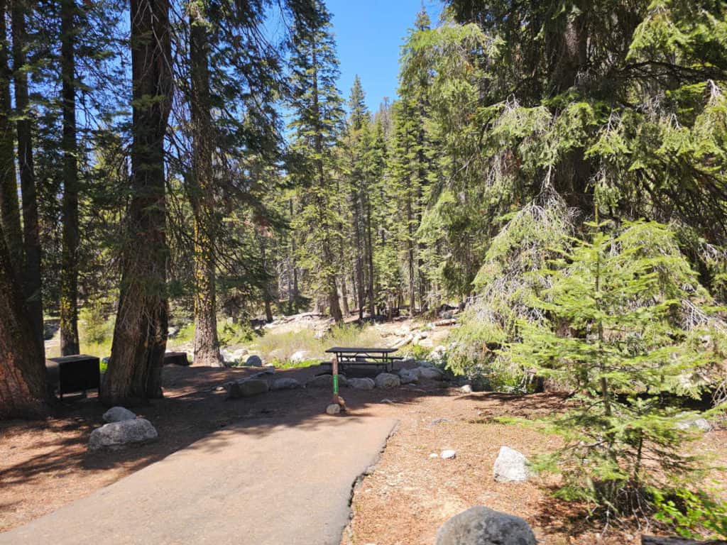 Campsite 132 Lodgepole Campground Sequoia National Park