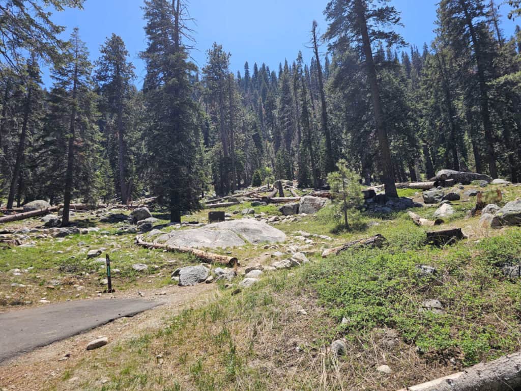 Campsite 69 Lodgepole Campground Sequoia National Park