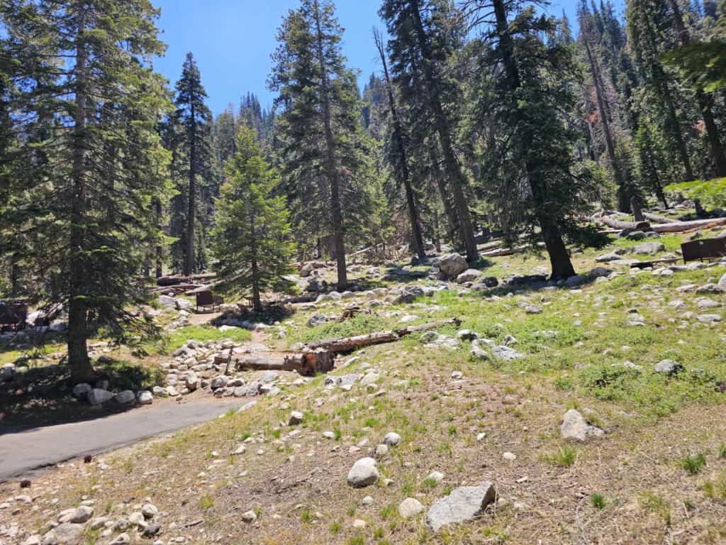 Campsite 71 Lodgepole Campground Sequoia National Park