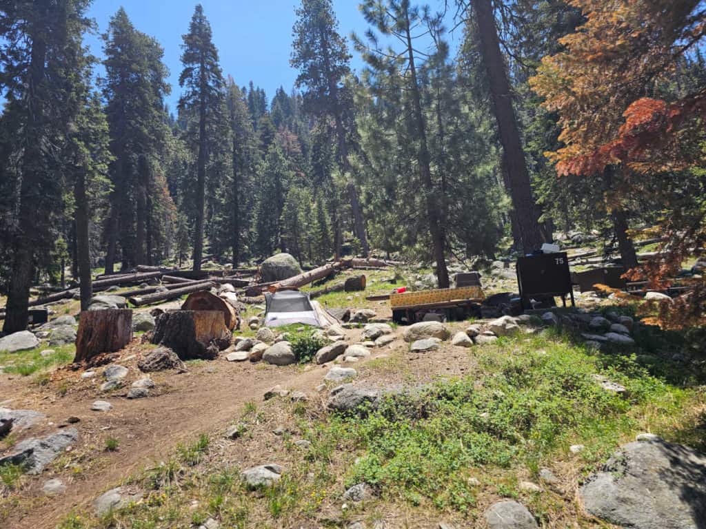 Campsite 75 Lodgepole Campground Sequoia National Park