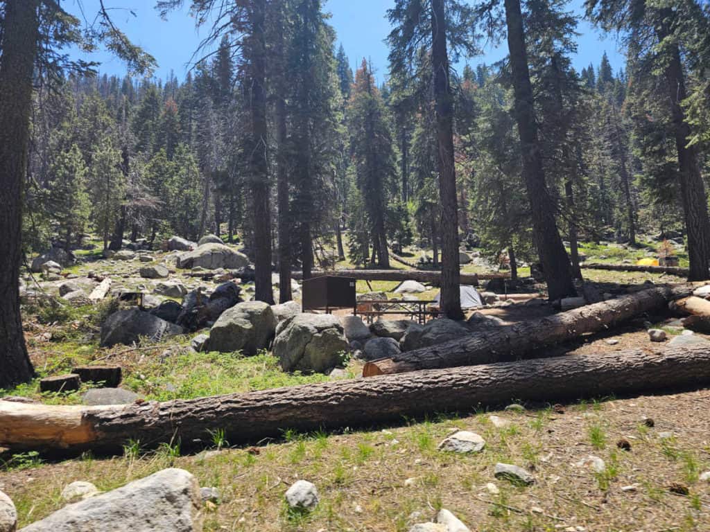 Campsite 86 Lodgepole Campground Sequoia National Park
