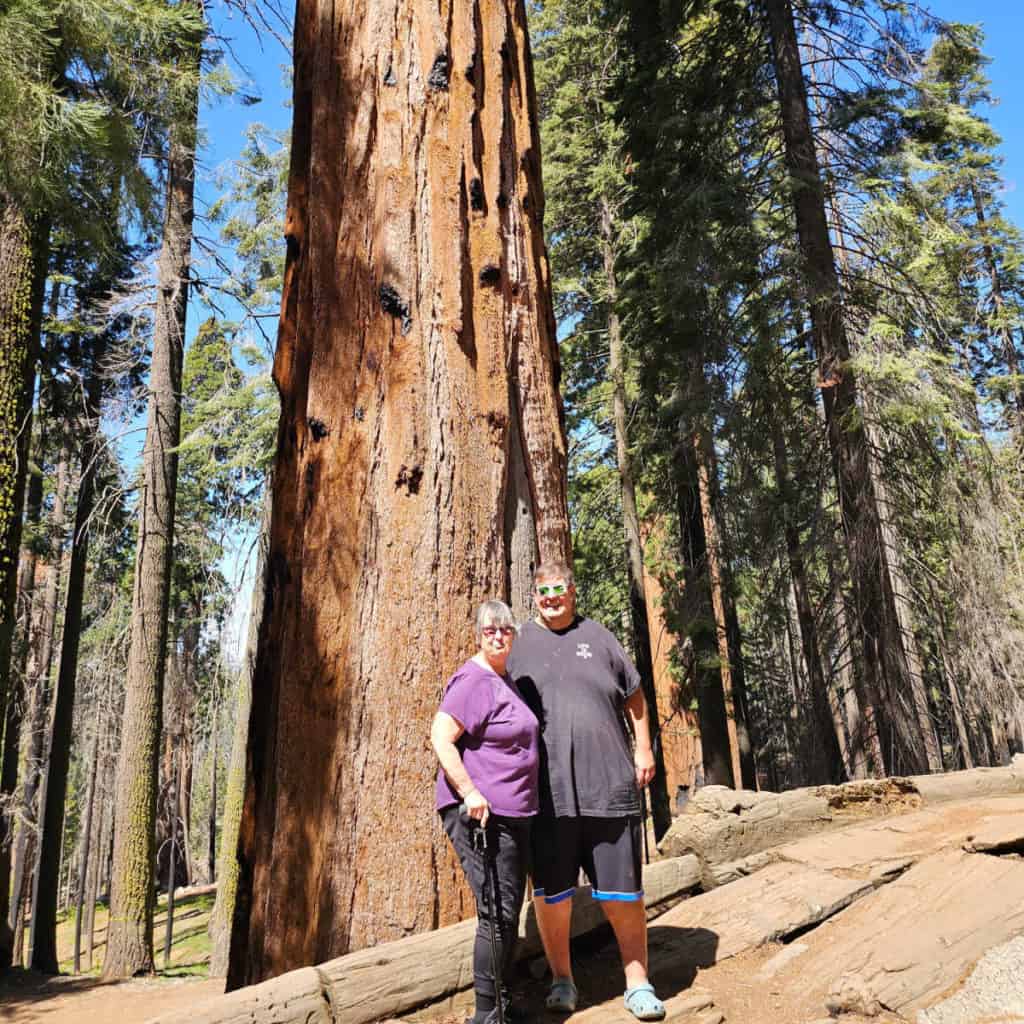 john and his mom in front of a giant Sequoia tree