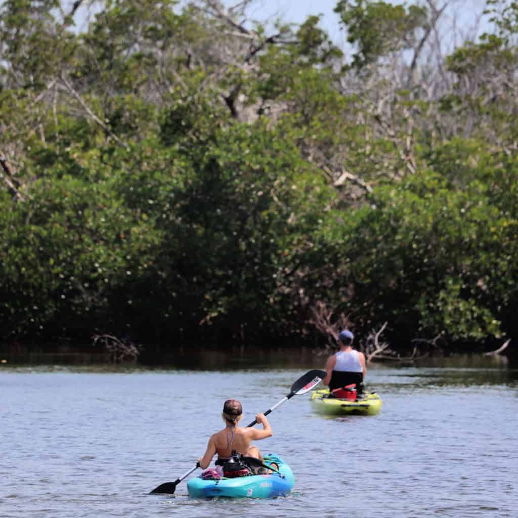 Kayaking at JN Ding Darling National Wildlife Refuge in Florida