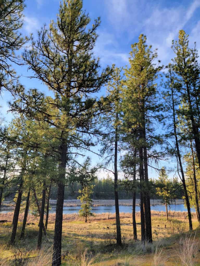 Kepple Lake in Turnbull National Wildlife Refuge