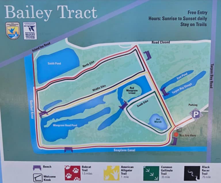 JN Ding Darling National Wildlife - Map Of Thr Bailey Tract Of JN Ding Darling National Wildlife Refuge 768x639