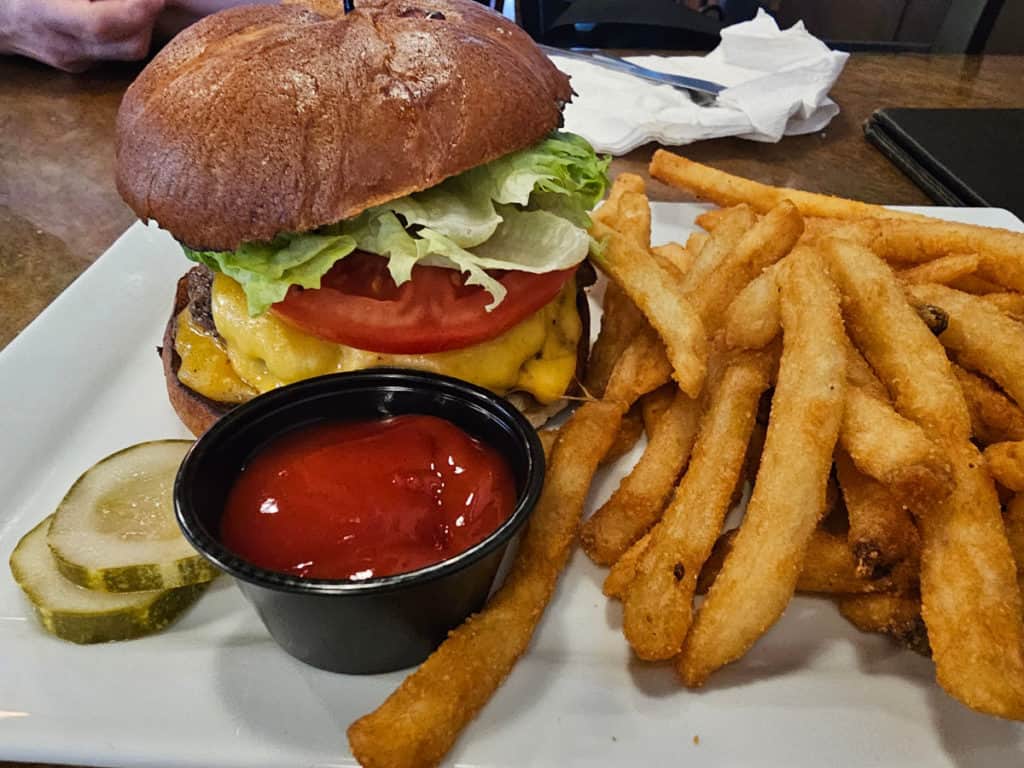 cheeseburger on a plate with fries