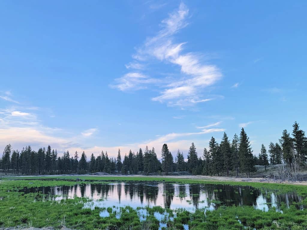 Turnbull National Wildlife Refuge Washington