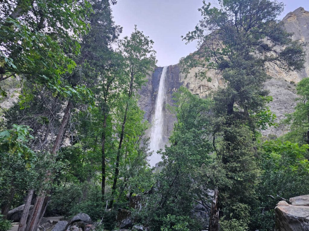 bridalveil fall through the trees