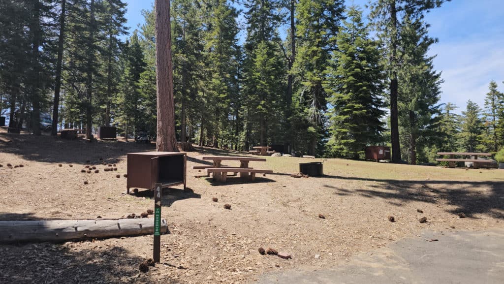 campsite 44 Sunset Campground in Kings Canyon National Park