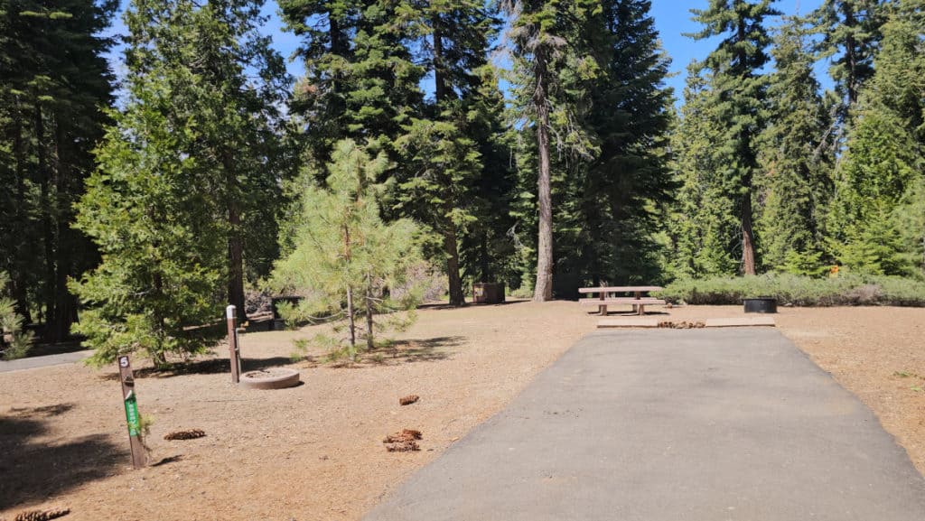 campsite 5 Sunset Campground in Kings Canyon National Park
