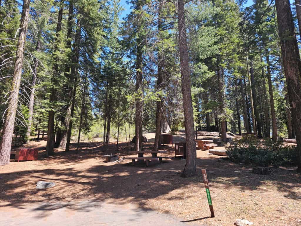 campsite 96 Sunset Campground in Kings Canyon National Park