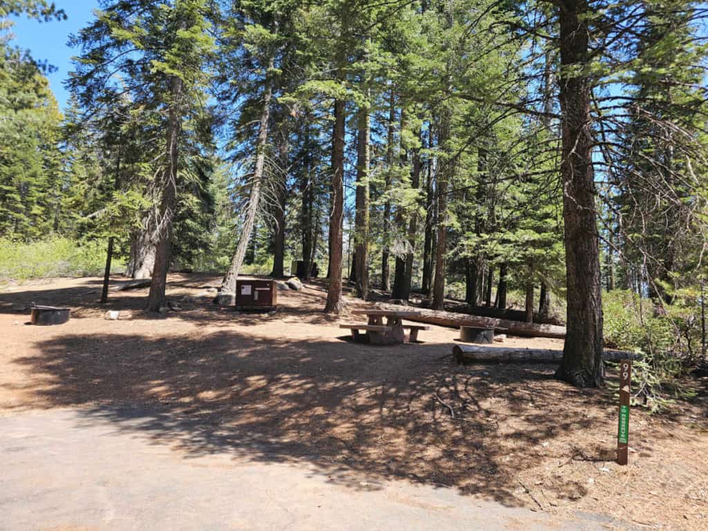 campsite 99 Sunset Campground in Kings Canyon National Park