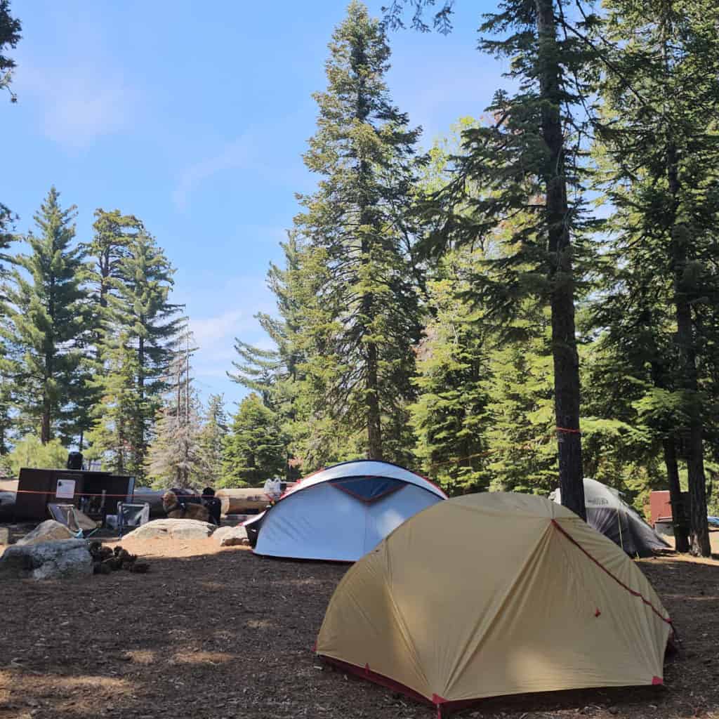 campsite in Sunset Campground in Kings Canyon National Park