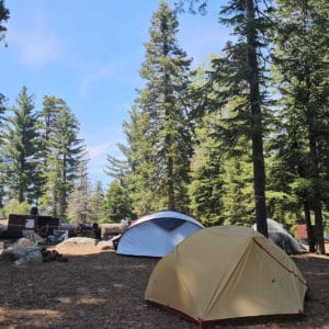 campsite in Sunset Campground in Kings Canyon National Park