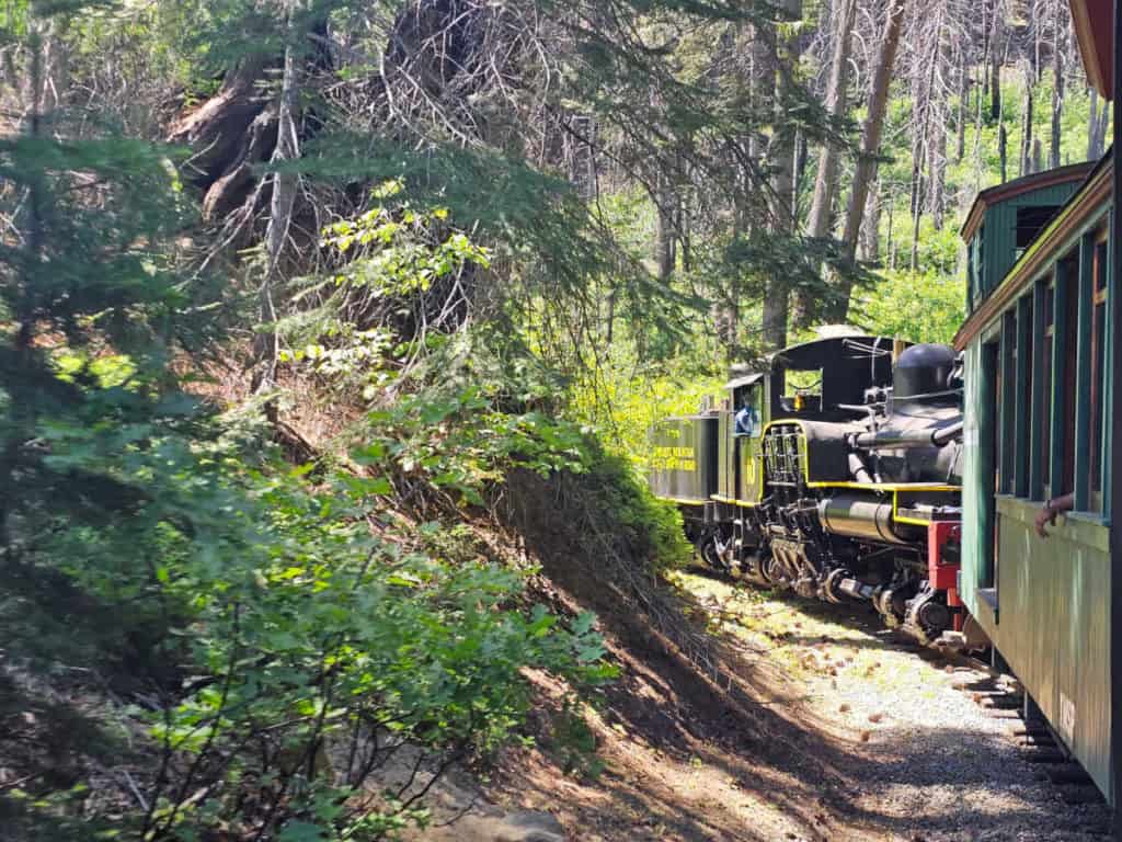yosemite mountain sugar pine railroad riding through the trees