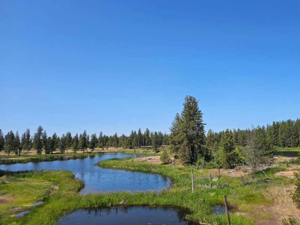 scenery at Turnbull National Wildlife Refuge
