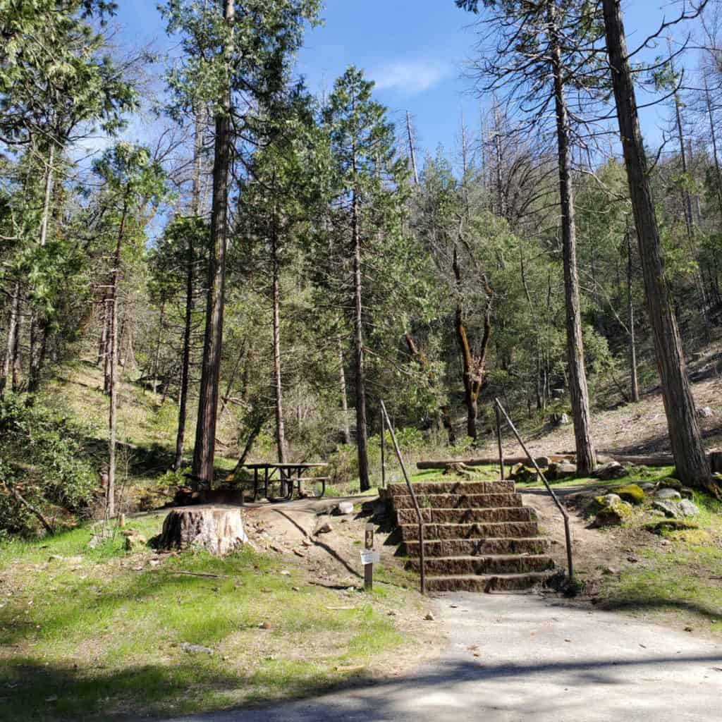 Campsite 19 Forks Campground Bass Lake California