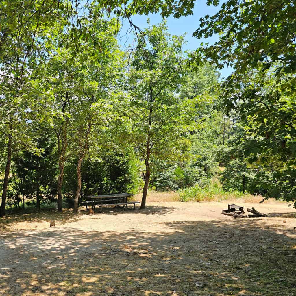 Campsite 37 Wishon Point Campground Bass Lake