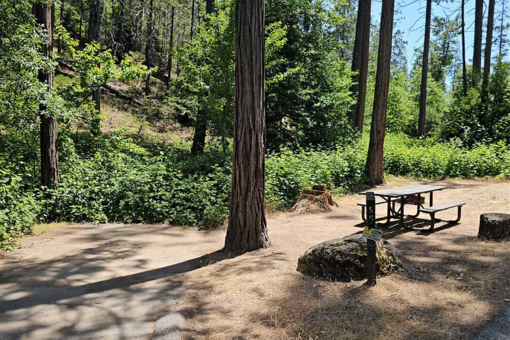 Campsite 55 Spring Cove Campground Bass Lake California