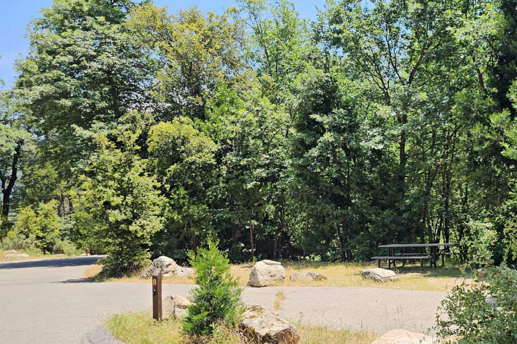 Campsite 8 Spring Cove Campground Bass Lake California